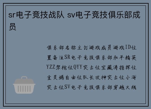 sr电子竞技战队 sv电子竞技俱乐部成员