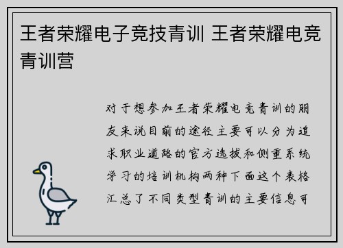 王者荣耀电子竞技青训 王者荣耀电竞青训营